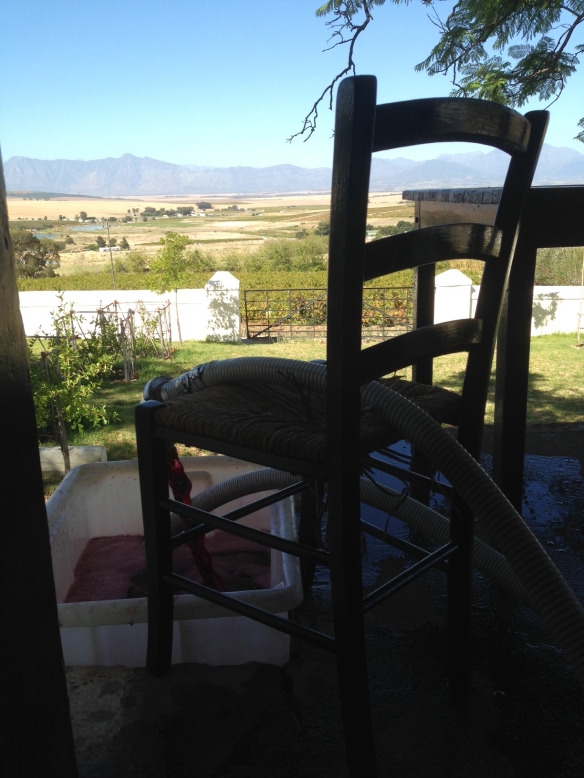 Swartland Pinotage with a view
